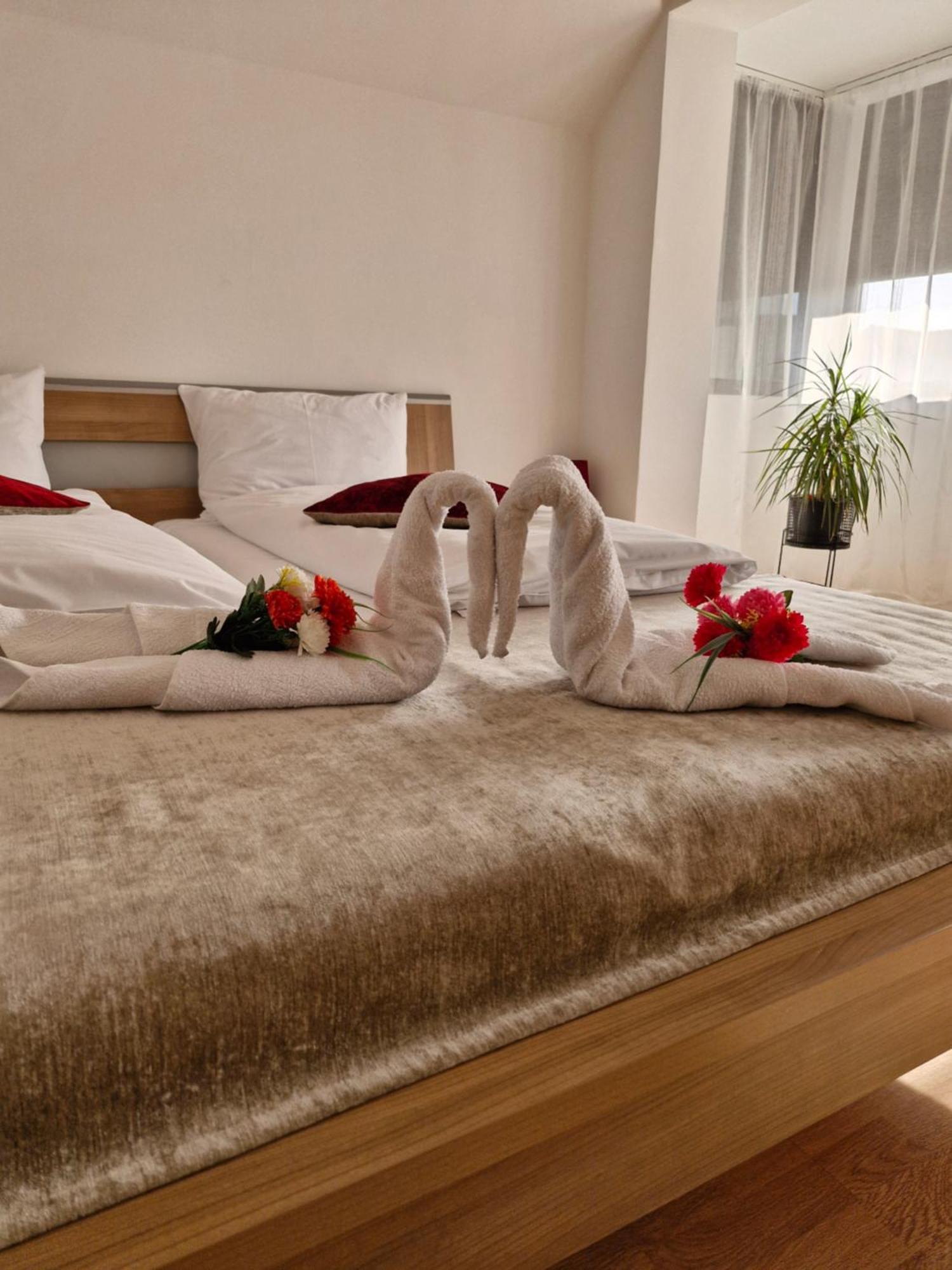 סיביו Mary Apartment מראה חיצוני תמונה